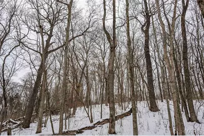 345 Quarry Road, Silex, MO 63377 - Photo 17