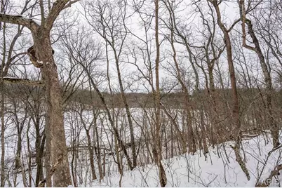 345 Quarry Road, Silex, MO 63377 - Photo 35