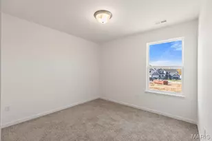 123 Day Lily Ln, Wentzville, MO 63385 - Photo 21