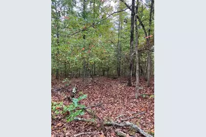 195 Madison Cr 410, Fredericktown, MO 63645 - Photo 3