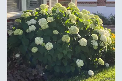 10748 Leebur Drive, Saint Louis, MO 63128 - Photo 55