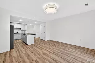 227 W Monroe Ave, Saint Louis, MO 63122 - Photo 15