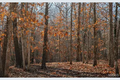 38925 Stone Piler Avenue, Edwards, MO 65326 - Photo 35