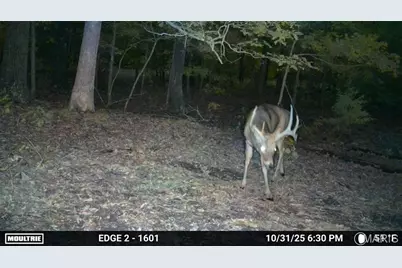 38925 Stone Piler Avenue, Edwards, MO 65326 - Photo 71