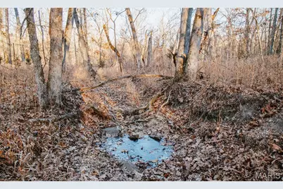 38925 Stone Piler Avenue, Edwards, MO 65326 - Photo 49