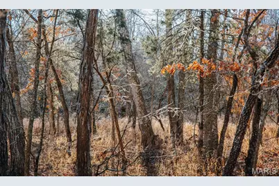 38925 Stone Piler Avenue, Edwards, MO 65326 - Photo 33