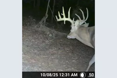 38925 Stone Piler Avenue, Edwards, MO 65326 - Photo 69