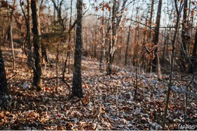 38925 Stone Piler Avenue, Edwards, MO 65326 - Photo 55