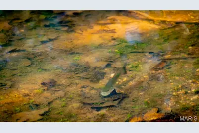 38925 Stone Piler Avenue, Edwards, MO 65326 - Photo 27