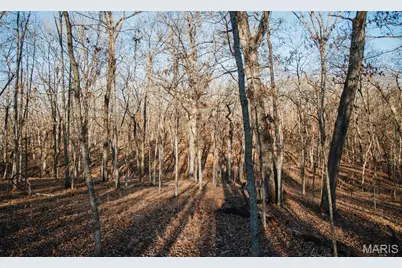 38925 Stone Piler Avenue, Edwards, MO 65326 - Photo 39