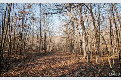 38925 Stone Piler Avenue, Edwards, MO 65326 - Photo 41