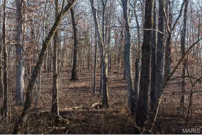 38925 Stone Piler Avenue, Edwards, MO 65326 - Photo 21