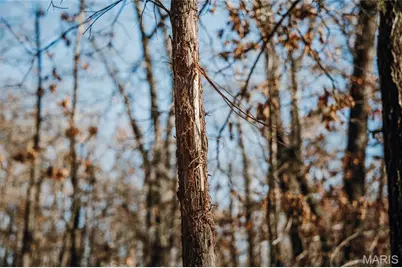 38925 Stone Piler Avenue, Edwards, MO 65326 - Photo 37