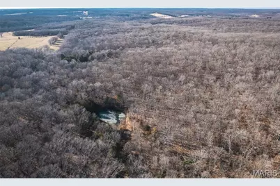 38925 Stone Piler Avenue, Edwards, MO 65326 - Photo 3