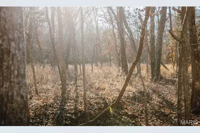 38925 Stone Piler Avenue, Edwards, MO 65326 - Photo 31