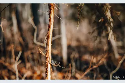 38925 Stone Piler Avenue, Edwards, MO 65326 - Photo 43