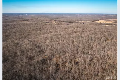 38925 Stone Piler Avenue, Edwards, MO 65326 - Photo 9