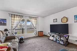 134 SW Main St, Bonne Terre, MO 63628 - Photo 13