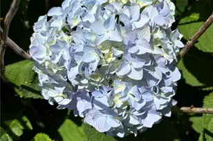 917 N 5th St, Saint Charles, MO 63301 - Photo 37