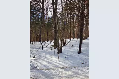 00 Rue Charlotte, Bonne Terre, MO 63628 - Photo 5