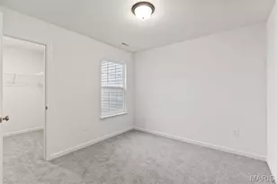 37 Fairmount Grv Dr, Saint Peters, MO 63376 - Photo 3