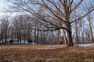 7318 Missouri 34, Burfordville, MO 63739 - Photo 21