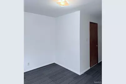 5250 Highland Avenue, Saint Louis, MO 63113 - Photo 9