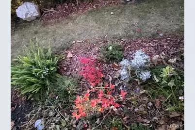 5250 Highland Avenue, Saint Louis, MO 63113 - Photo 39