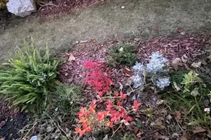 5250 Highland Ave, Saint Louis, MO 63113 - Photo 39