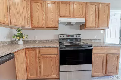 221 W Miller Street, De Soto, MO 63020 - Photo 17