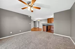 6200 Spring Creek Ln, O'Fallon, MO 63368 - Photo 17