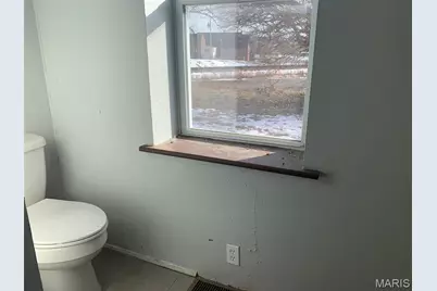 325 Iris Court, Saint Clair, MO 63077 - Photo 15