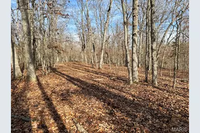 0 Haverstick School Road, Festus, MO 63028 - Photo 1