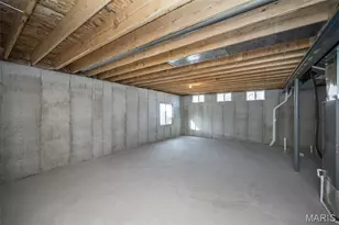 171 Sydnorville, Troy, MO 63379 - Photo 39