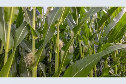 00 Sand Creek Bottom Road, Kirksville, MO 63546 - Photo 9