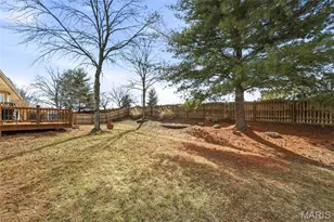 3 Allie Marie Ct, Saint Peters, MO 63376 - Photo 43