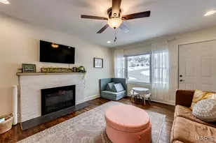203 Almentor Ave, Saint Louis, MO 63119 - Photo 5