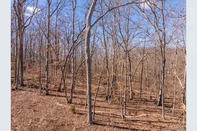 2832 Morgan Lake Drive, Innsbrook, MO 63390 - Photo 5