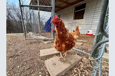 19841 Highway 32, Saint Genevieve, MO 63670 - Photo 7