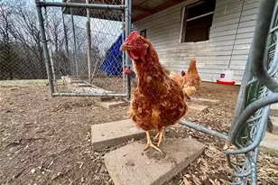 19841 Hwy 32, Saint Genevieve, MO 63670 - Photo 7