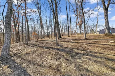 299 Auburn Ridge Drive, Troy, MO 63379 - Photo 53