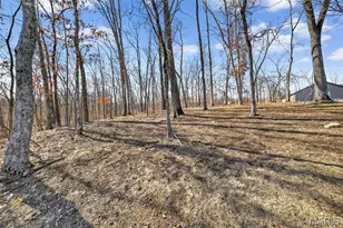 299 Auburn Ridge Dr., Troy, MO 63379 - Photo 53