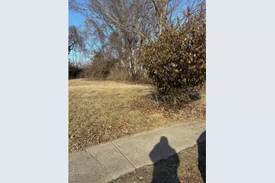 335 Electric Street, Kirkwood, MO 63122 - Photo 1