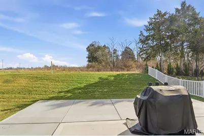 368 Cottage Grove Drive, Wentzville, MO 63385 - Photo 19