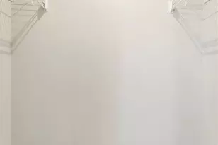 368 Cottage Grove Dr, Wentzville, MO 63385 - Photo 29