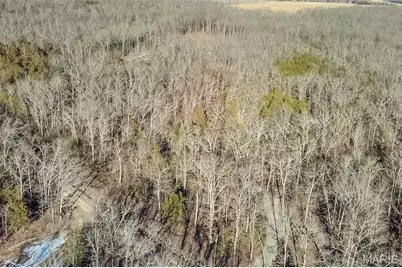 Xxx Madison Co 529, Fredericktown, MO 63645 - Photo 31