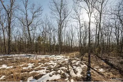 Xxx Madison Co 529, Fredericktown, MO 63645 - Photo 11