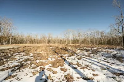 Xxx Madison Co 529, Fredericktown, MO 63645 - Photo 7