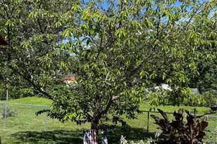 10027 Lackland Rd, Saint Louis, MO 63114 - Photo 31