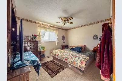 202 Meadowbrook Drive, Farmington, MO 63640 - Photo 17